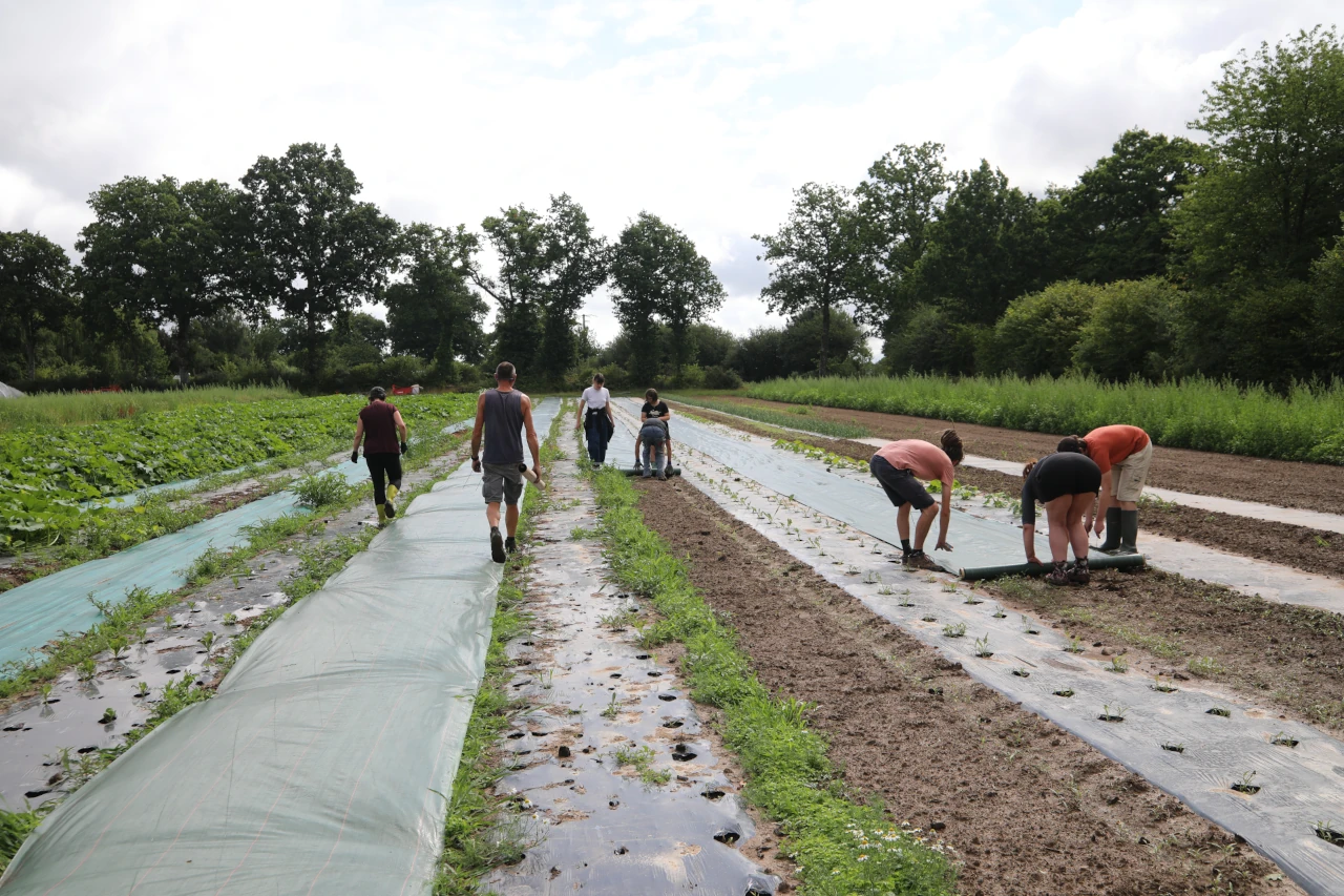 Chantier participatif maraîchage